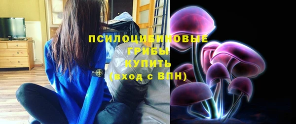 дурь Богородск
