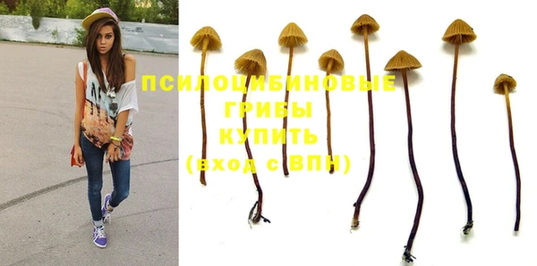 apvp Богородицк