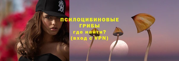 дурь Богородск