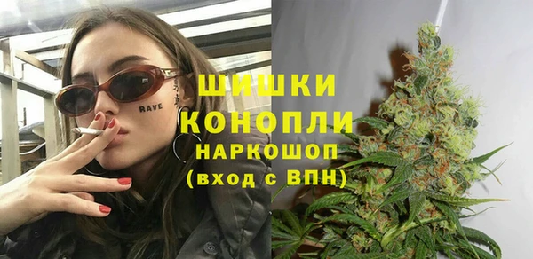 соль ск Бородино