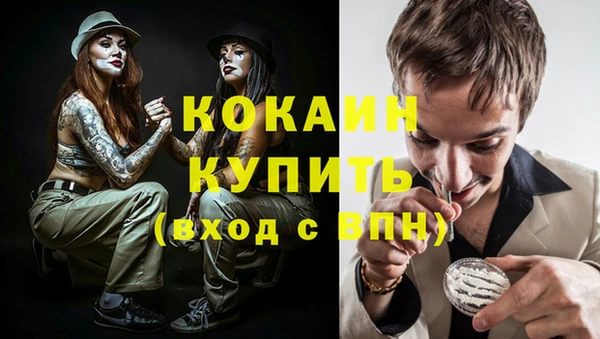 apvp Богородицк
