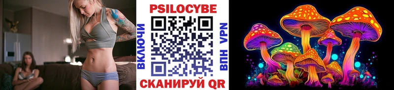 как найти наркотики  Волчанск  Псилоцибиновые грибы мицелий 